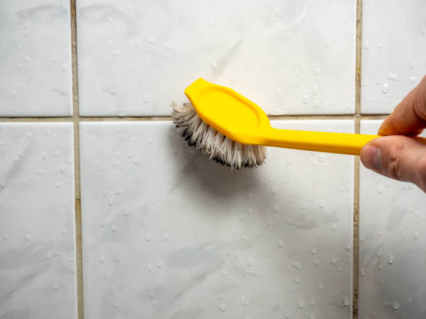 Best Mold Removal Company Near Me  in Mocksville, NC
