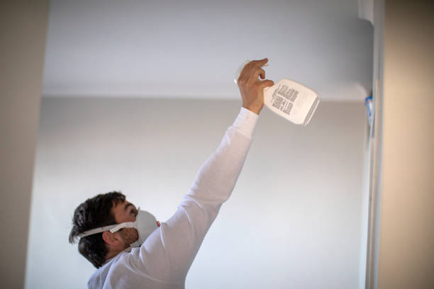 Reliable Mocksville, NC Mold Removal Solutions
