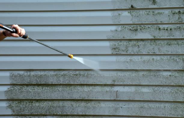 Best Toxic Mold Removal  in Mocksville, NC