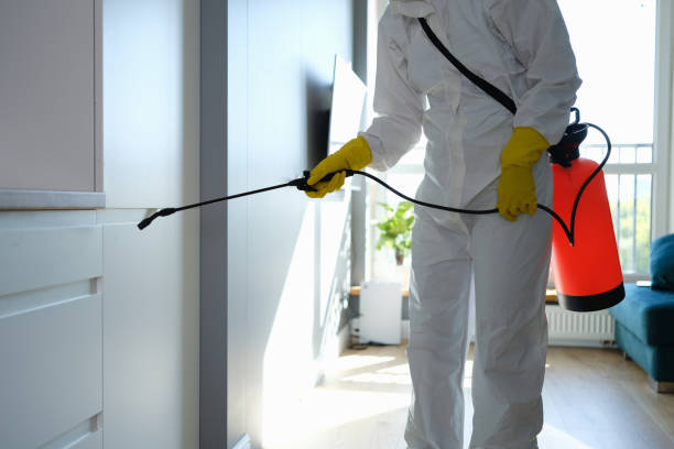 Best Emergency Mold Removal  in Mocksville, NC